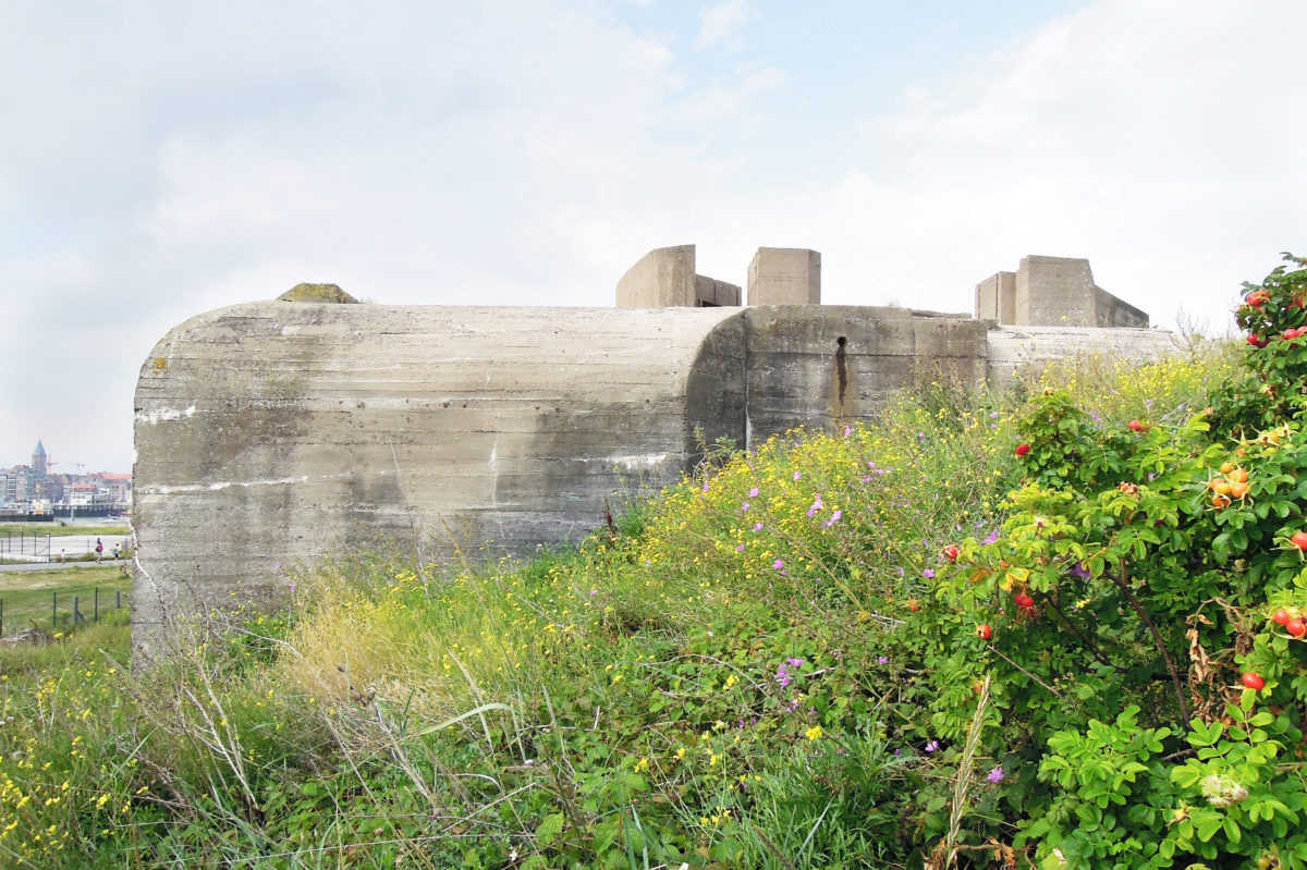 B ILD HALVEMAAN sitefoto